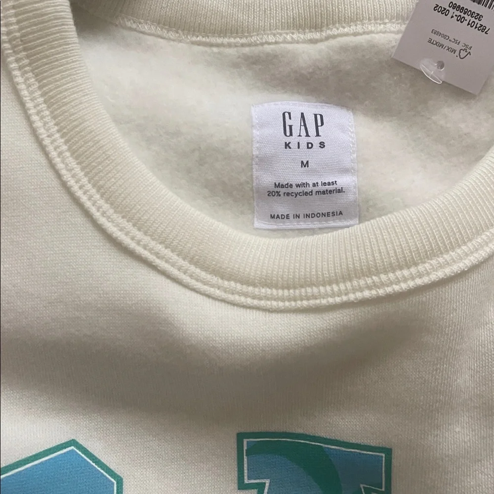 Gap Boy's Logo Sweatshirt